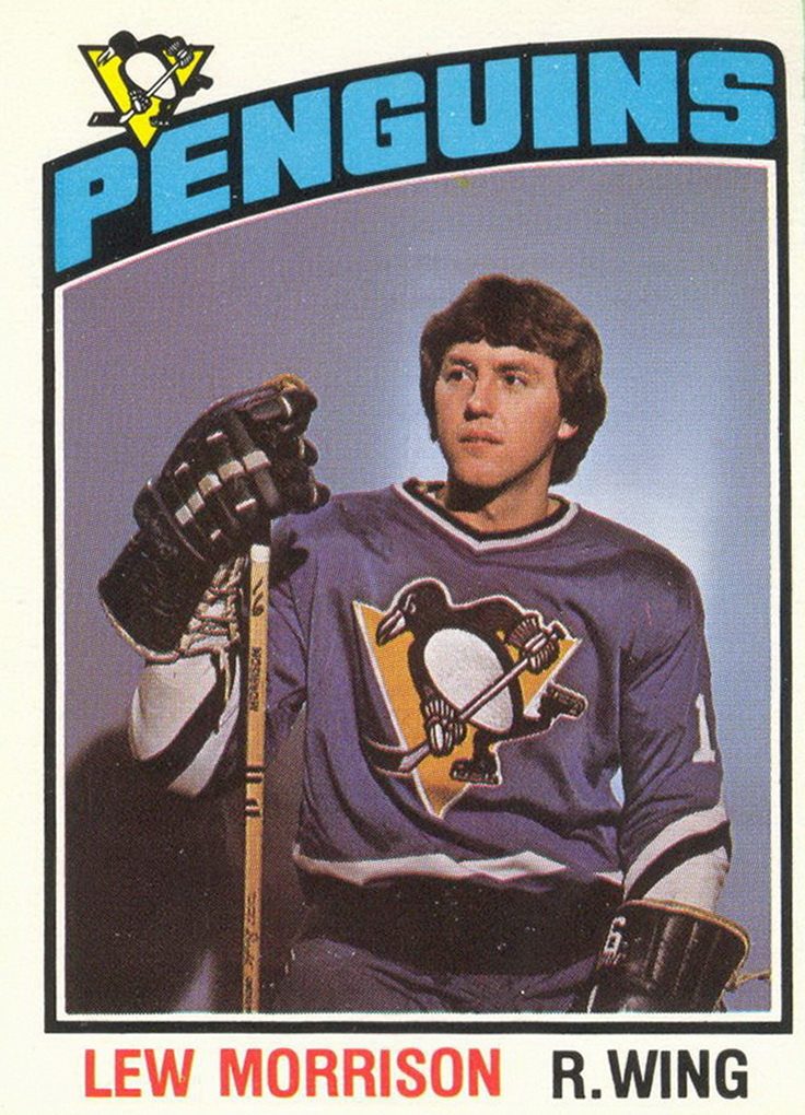 Collection of hockey cards | Choose by producer O Pee Chee from season 1976