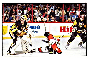 Pittsburgh Penguins - 313